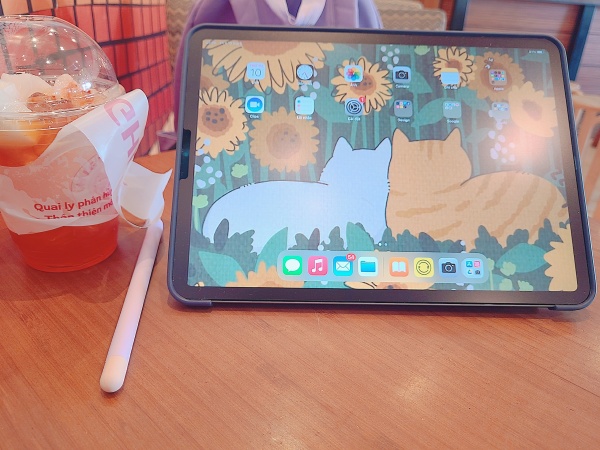 cons of using paperlike on iPad