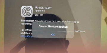 How to Fix restore iPad from local backup error