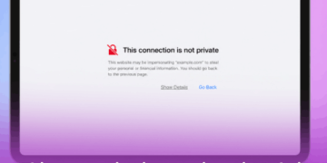 fix this connection is not private in Safari on iPad