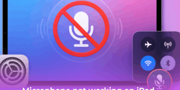 Microphone not working on iPad