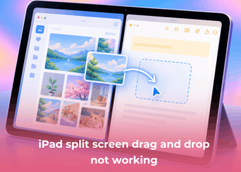 Fix iPad split screen drag and drop not working